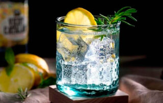 Diferencia tónica, soda, gaseosa y agua carbonatada